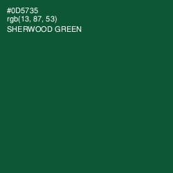 #0D5735 - Sherwood Green Color Image